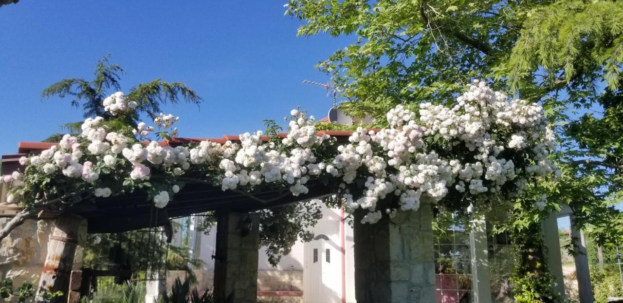 Country House Bubullime Albania Lushnje Exterior photo