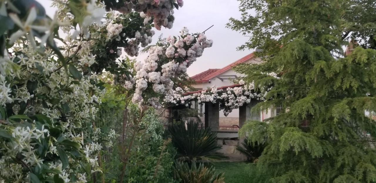 Country House Bubullime Albania Lushnje Exterior photo