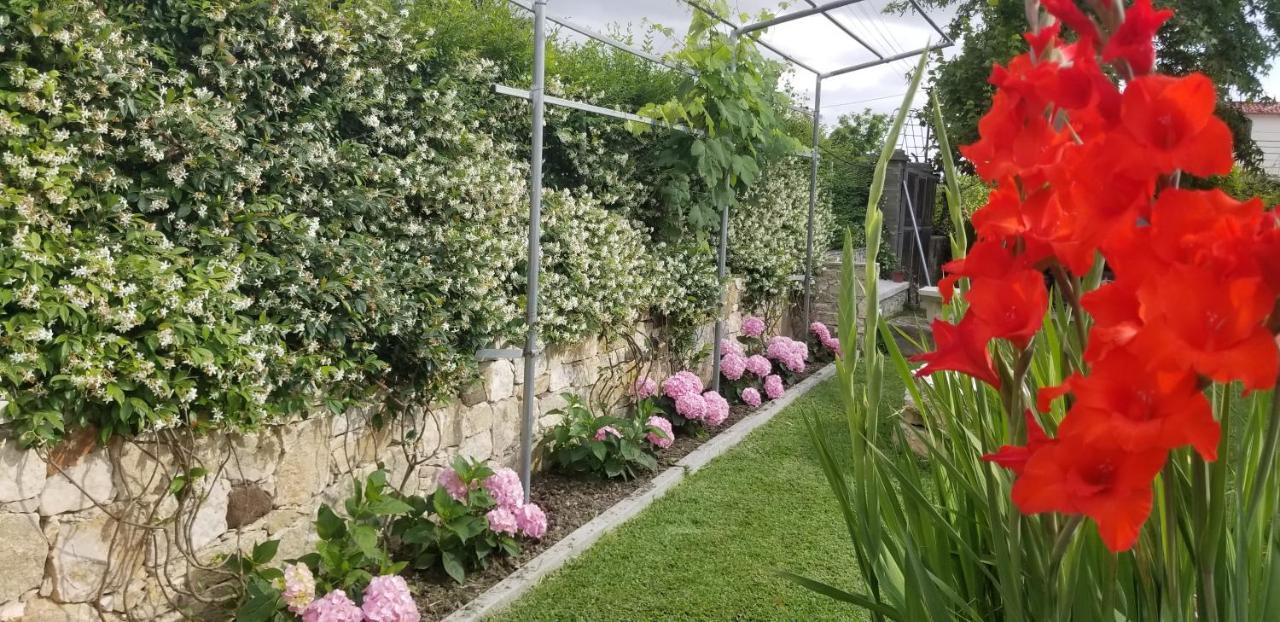 Country House Bubullime Albania Lushnje Exterior photo