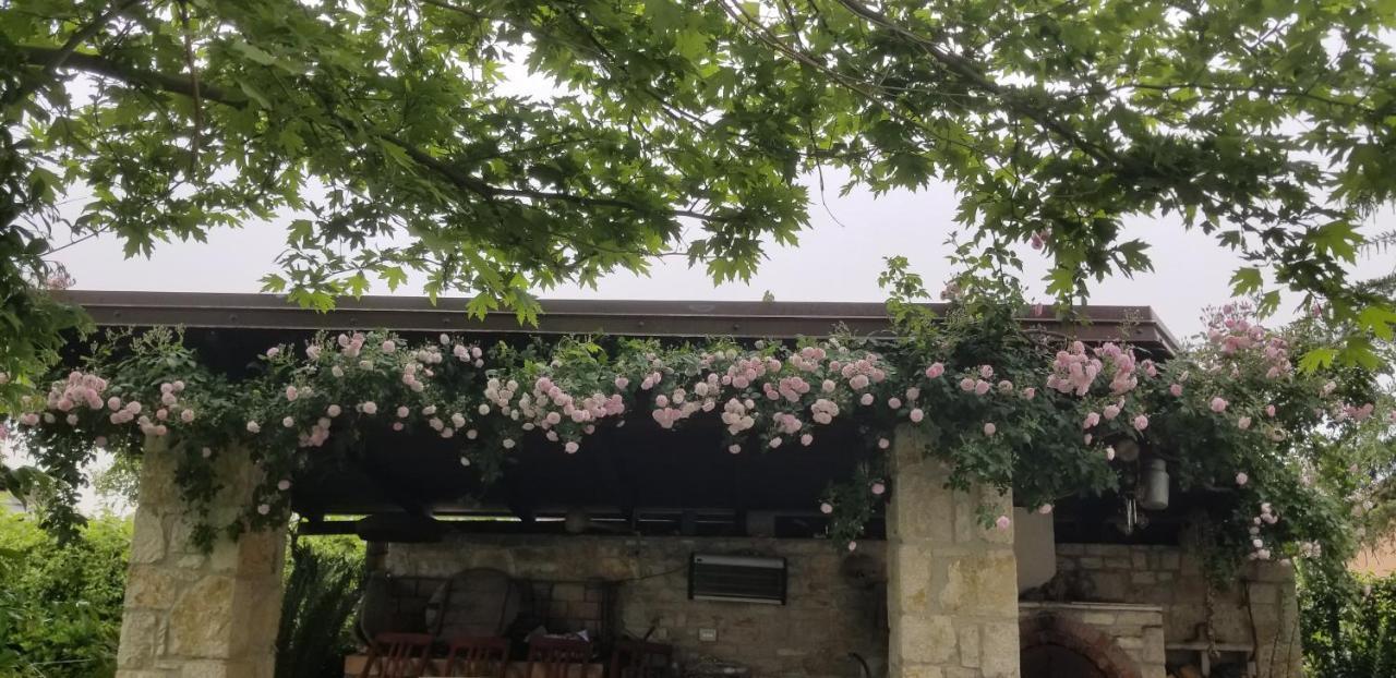 Country House Bubullime Albania Lushnje Exterior photo