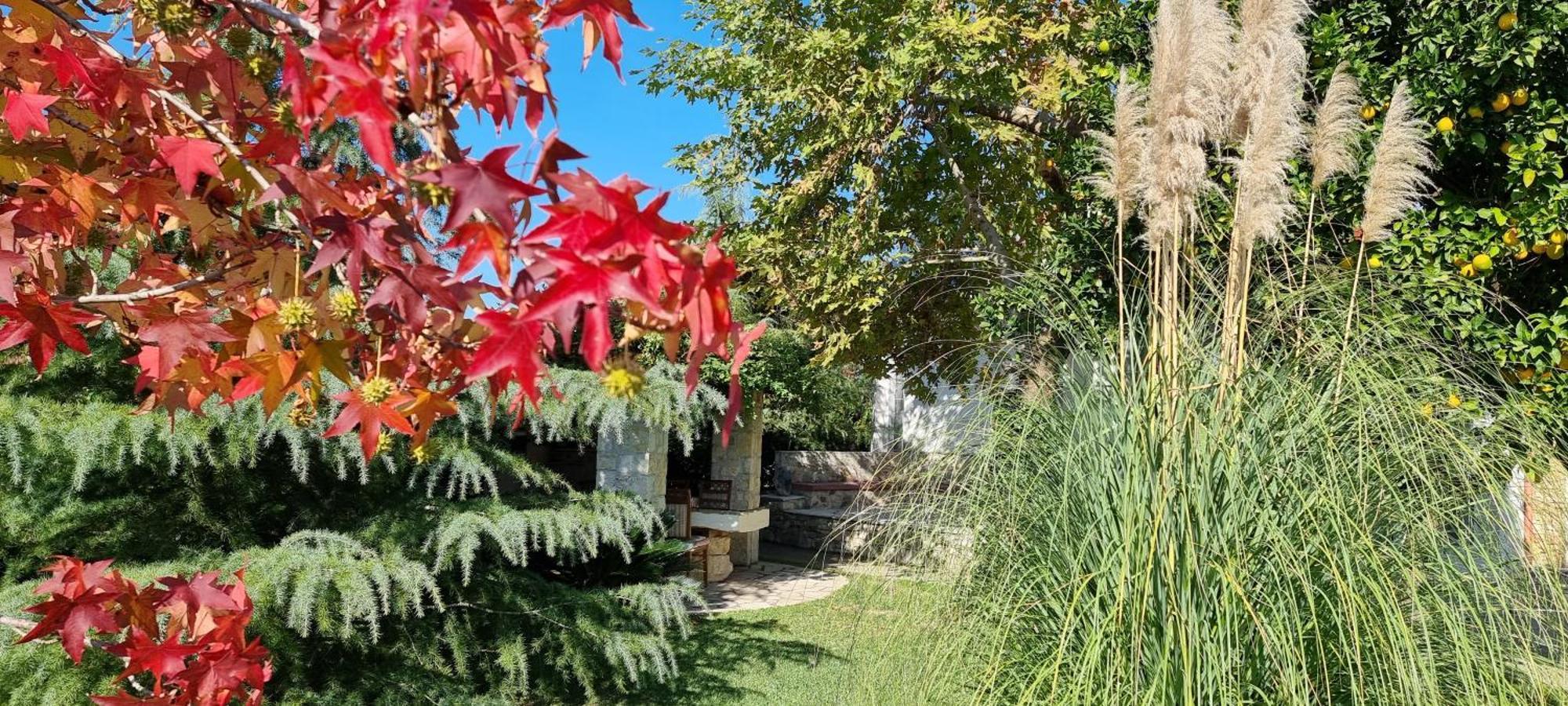 Country House Bubullime Albania Lushnje Exterior photo